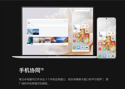 推荐几款在手机和电脑上协同工作极佳的软件组合（小黑鱼官方下载及其相关介绍）