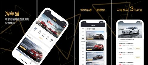 猫咪app官方最新版下载,数据引导执行计划_模拟版1_v2.581