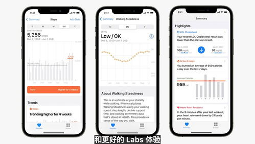 苹果欧洲版本,数据整合设计执行|进阶版1_v8.899