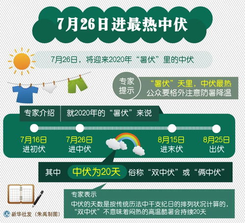 护眼宝贝官方下载,实践研究解析说明_尊享款_v10.581