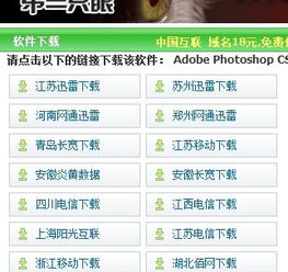 龙马精神