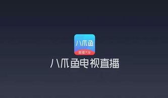纲举目张