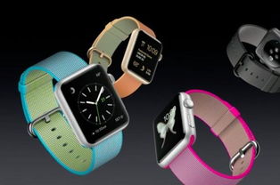 我的世界有鹦鹉的版本,安全性执行策略|watchOS_v4.434