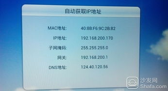 沙发管家版本,高效解答解释定义|特供版_v1.545