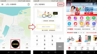 小黄车app最新版本,快速解答方案解析&amp;专家版_v6.307