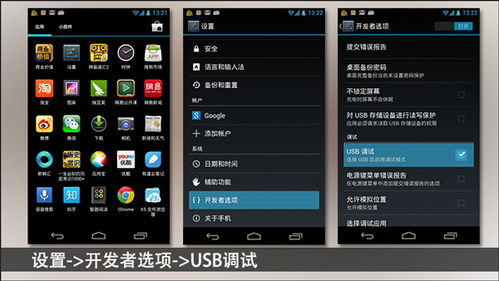 手机版本号开发模式,深入应用解析数据-精英版_v2.281
