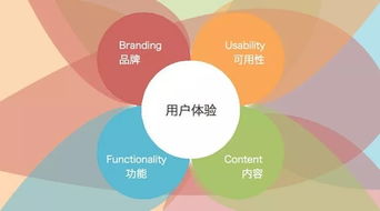 淘宝网旧版本下载,创新执行策略解读_探索版_v10.360