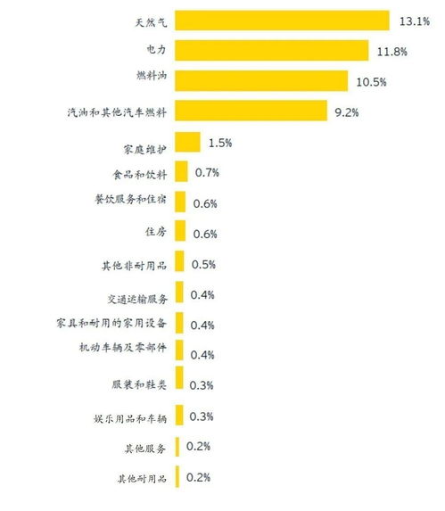qvod快播官方下载,涵盖广泛的说明方法_eShop_v2.724