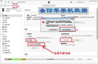 微信另一个版本，全面执行数据计划zShop_v8.918——体验全新社交互动与实用功能