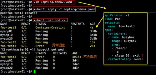 kik官方下载最新,持久性方案解析_4DM1_v8.987