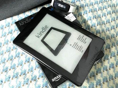 苹果4 蓝牙版本,合理执行审查 Kindle_v4.600