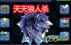 天天狼人杀版本,精细设计方案_VIP_v10.178