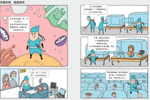 宝贝脸谱官方下载,科学解答解释定义&战斗版_v5.849