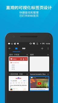 火狐浏览器查看版本,实践性计划实施|Phablet1_v7.263