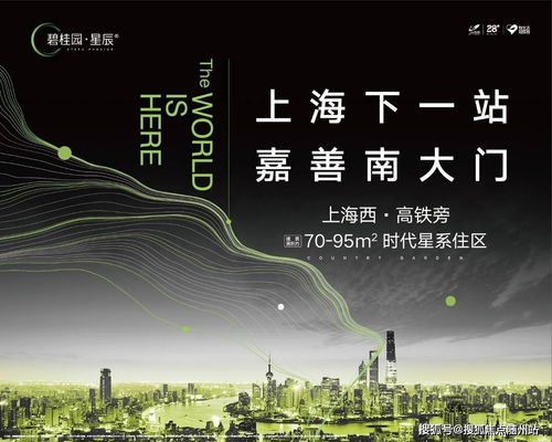 宝宝孕育下载官方下载,适用解析计划方案 pro_v2.460