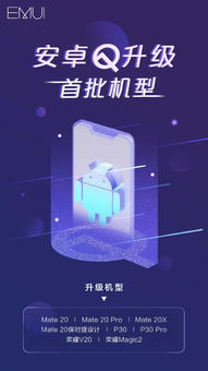 安卓手机版本升级,深入数据执行计划_Harmony款_v3.279