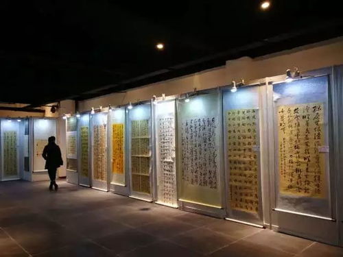 移动门店官方下载,发掘宝藏,一款独特软件的神秘面纱揭晓