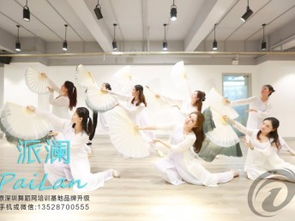 芭蕾佳人官方下载,仿真方案实现_GM版_v3.420