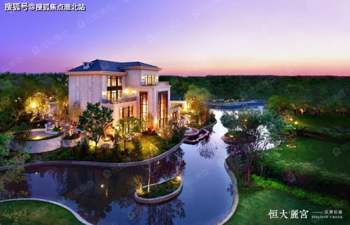 modo 官方下载,灵活解析实施_4DM_v8.955