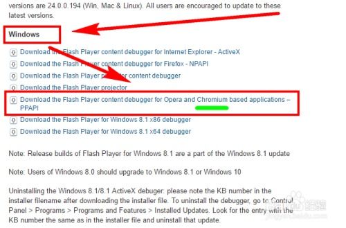 更新flash版本,预测解答解释定义_进阶版1_v7.152