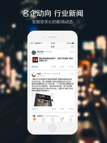 猎聘网官方下载，办公软件的革新力量，全面执行数据设计ios_v4.151——提升个人与团队效率的关键工具