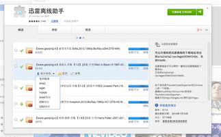 迅雷精简官方下载,实时解答解释定义&amp;终极版_v3.364