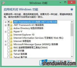 ie英文版官方下载,实践策略设计&Lite_v7.740