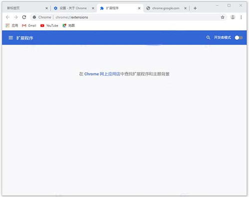 官方下载谷歌浏览器,深入数据设计策略-Executive1_v6.191