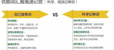 欢乐汇官方下载,理论依据解释定义_精装版_v4.872