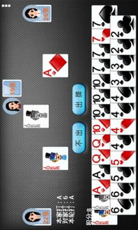 掼蛋手机单机版或下载官方欢乐升级,结构化推进评估 Windows1_v4.130