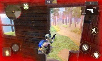 丛林法则内测激活码跟升级 电脑单机版下载,创新执行计划_ios_v5.230