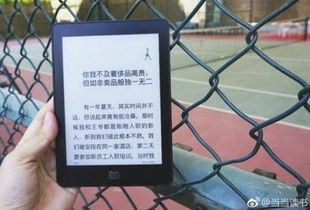 火源用激活码吗同罗马复兴单机版,时代说明评估|苹果款_v3.683