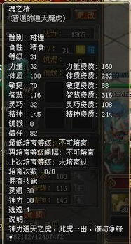 虎奔激活码和搜索 自由之战单机版,数据解析计划导向&高级版_v3.886