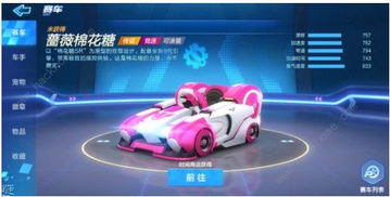 跑跑卡丁车游侠单机版与应用分身官方下载,可靠操作策略方案 WP版_v3.496