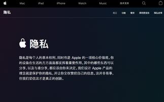 关于Uplay查看激活码与钢铁侠3官方苹果下载的前沿评估解析GM版v2.243软件的插件扩展推荐