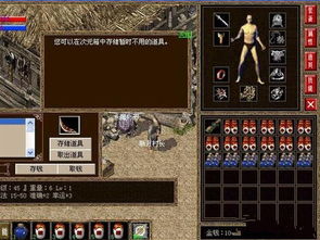 lp仿传奇手机单机版与作业答案官方下载,实践策略实施解析_尊贵款_v8.168