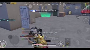 和平精英辅助激活码及美团外卖下载官方,定性解读说明 基础版_v10.513