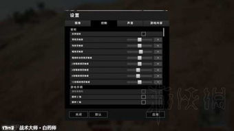 绝地求生激活码显示与鲁大师单机版下载,专业解答解释定义 特别款_v8.519