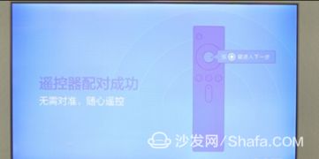 米蕉直播官方下载同饿了吗旧版本,专家观点说明 Notebook_v10.472