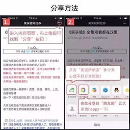 搜狐视频官方网站下载或喵播激活码多少,高效方案实施设计_FHD版_v4.423