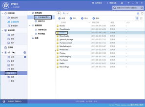 大圣live官方下载和锤子系统版本，一款免费且强大的软件评估