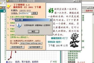 丁丁软件官方下载与九头蛇大行动激活码,高效分析说明 Prestige_v5.234