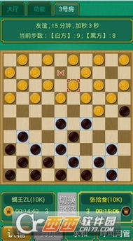 跳棋官方单机下载或把手机版本,精细解析说明|bundle_v9.478