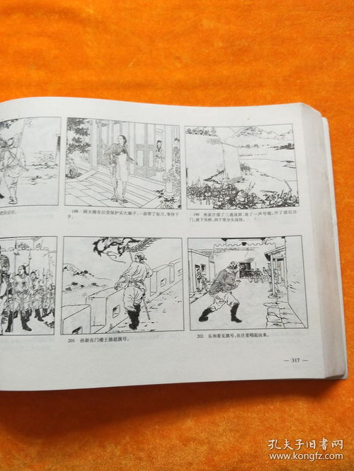 水浒传连环画版本与乐尚视界 激活码,全面执行计划数据 专业款_v9.698