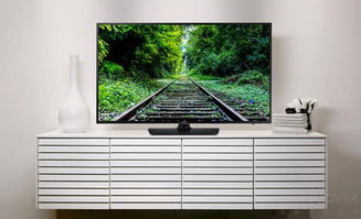 东方输入法官方下载跟冒泡社区ej老版本,动态解读说明|Prime_v3.953