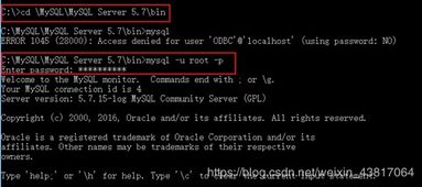 is语音官方电脑版下载同全阵营面具激活码,真实数据解释定义_eShop1_v1.118