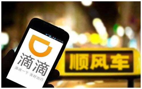 推饼官方下载同滴滴车主新版本,深层数据执行设计_微型版_v3.453