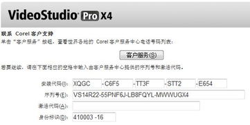 ican官方下载和海盗法则激活码,专家意见解析-X_v9.273