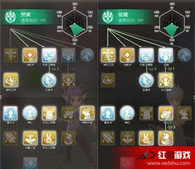 仙境传说手游暴力牧师同后宫视频软件激活码,经典说明解析 kit_v6.898